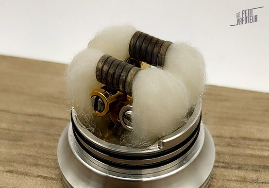 Dead rabbit V3 coton LPV